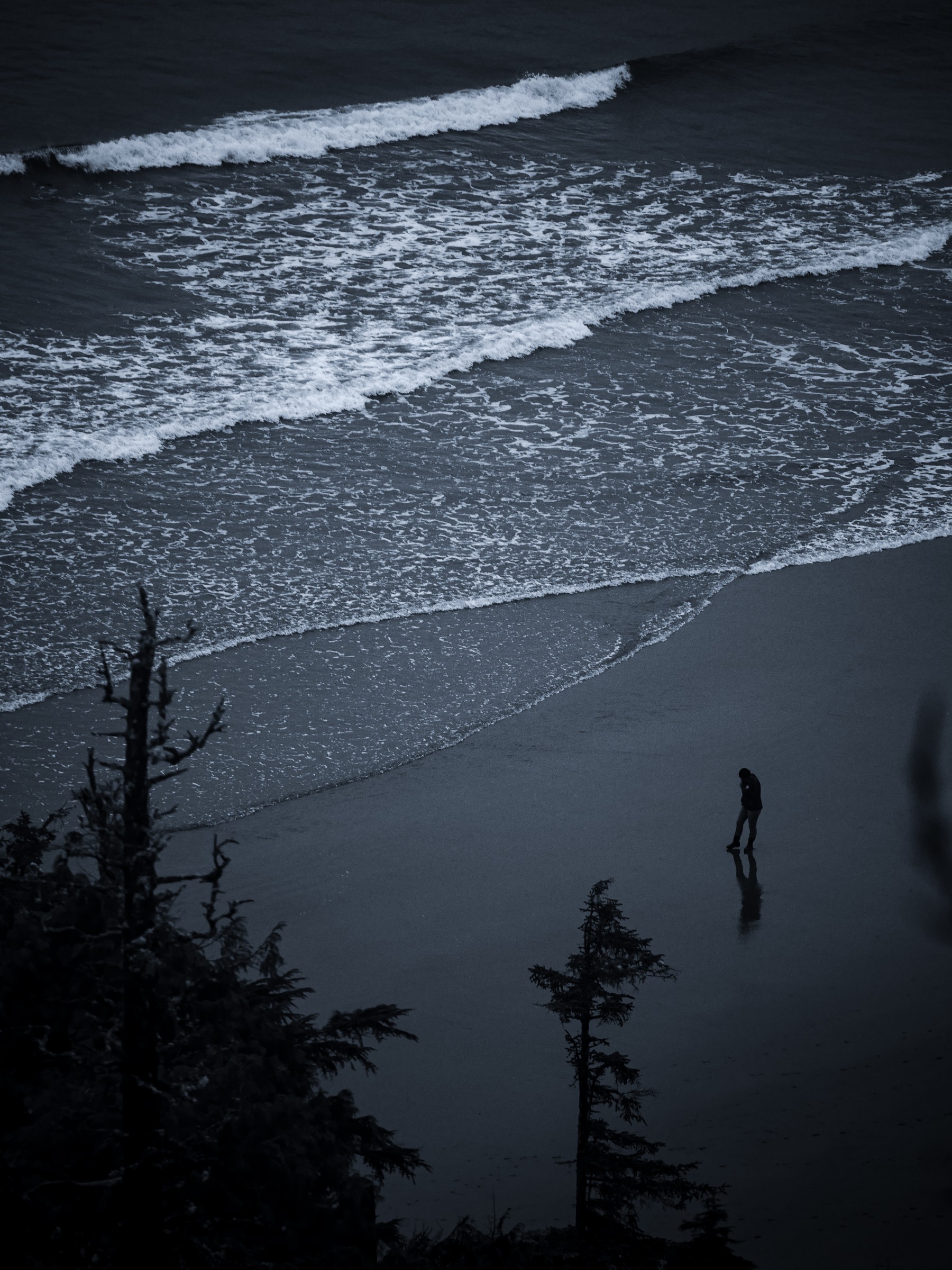 Surf rolling toward a lone figure on the beach, framed by trees, photo by Byron Lambert