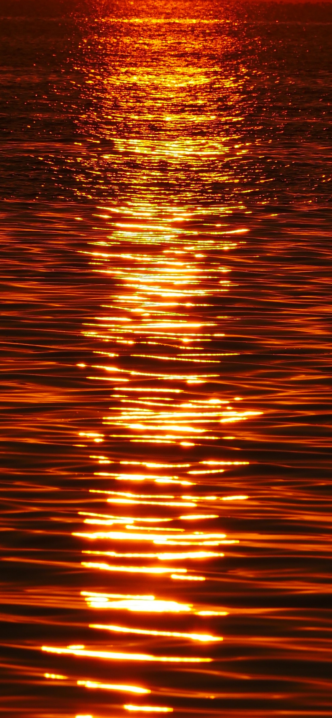 Sunset light on rippling water, photo by Byron Lambert