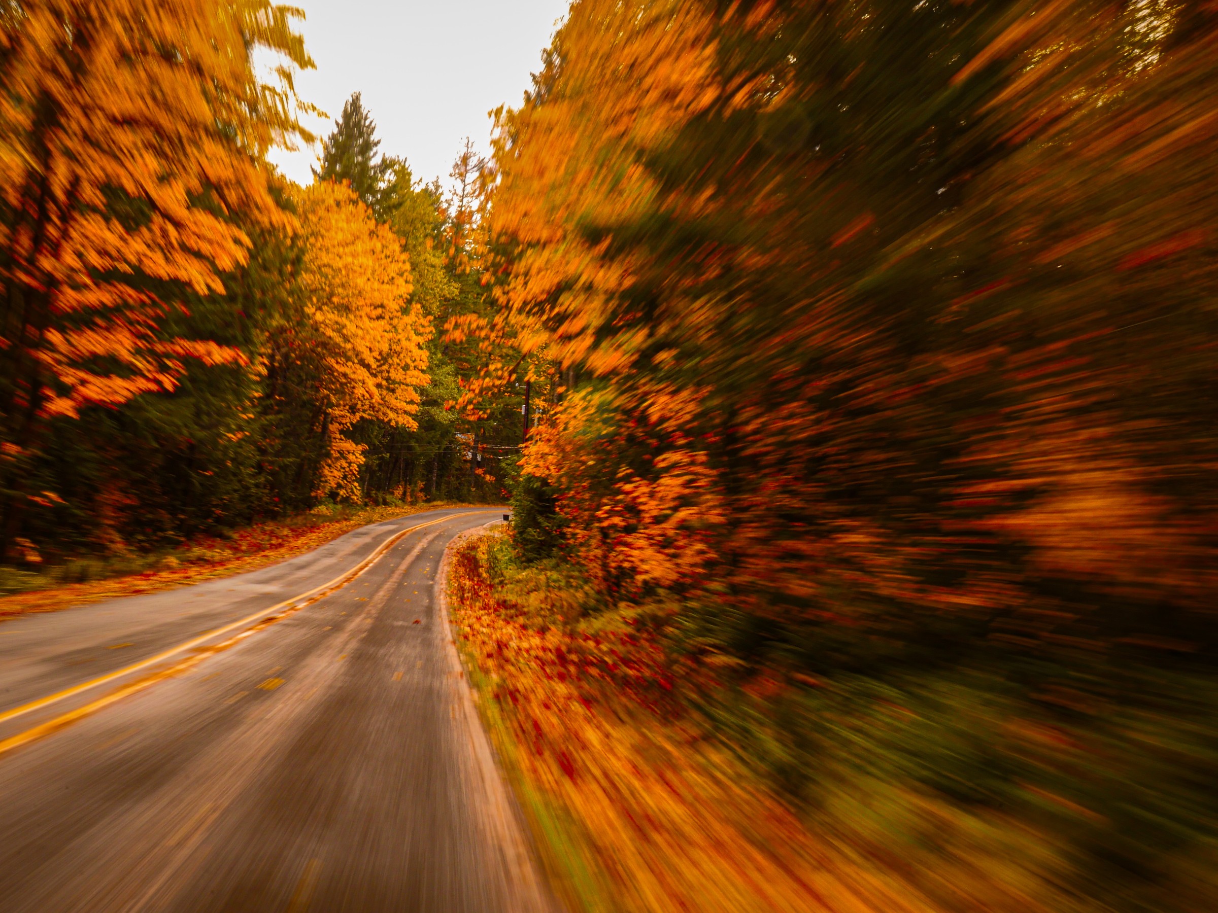 An autumn road through orange trees, blurred with motion, photo by Byron Lambert