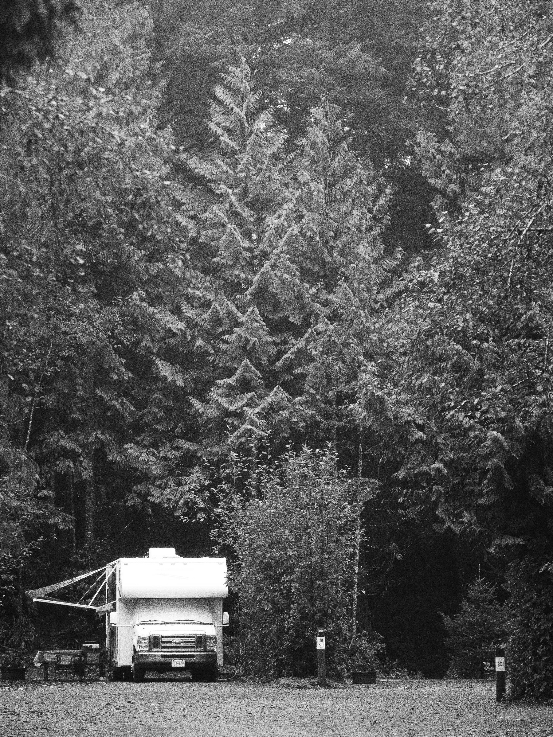 Black and white: a camper van under tall trees, photo by Byron Lambert
