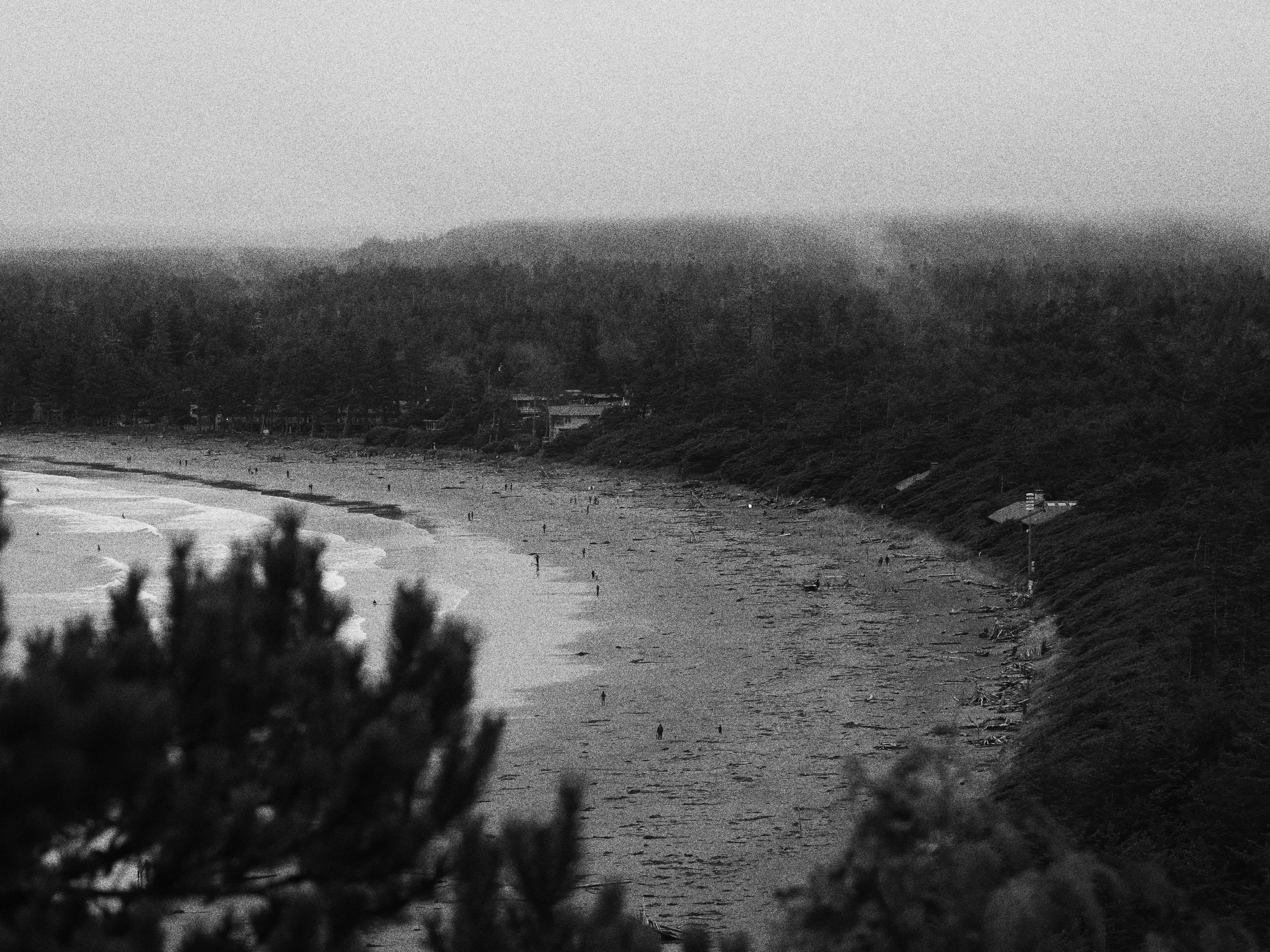Black and white: a curved bay seen through trees, photo by Byron Lambert