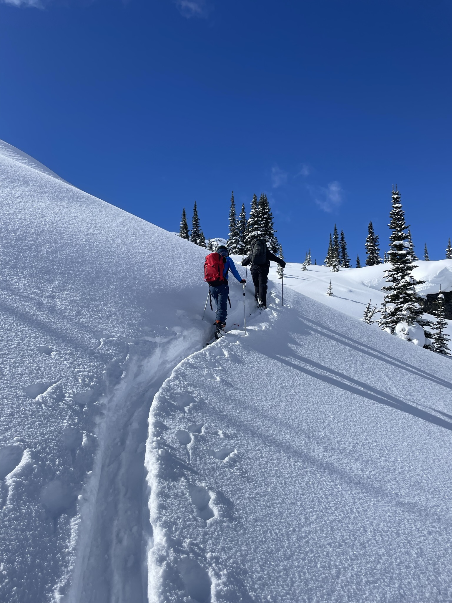 Byron and his guide skinning up a fresh track through deep snow under a blue sky